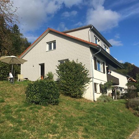 Alpenpanorama Am Hochrhein Villa Gailingen Exterior foto