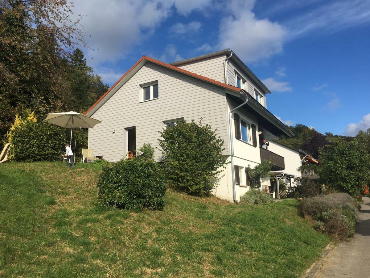 Alpenpanorama Am Hochrhein Villa Gailingen Exterior foto