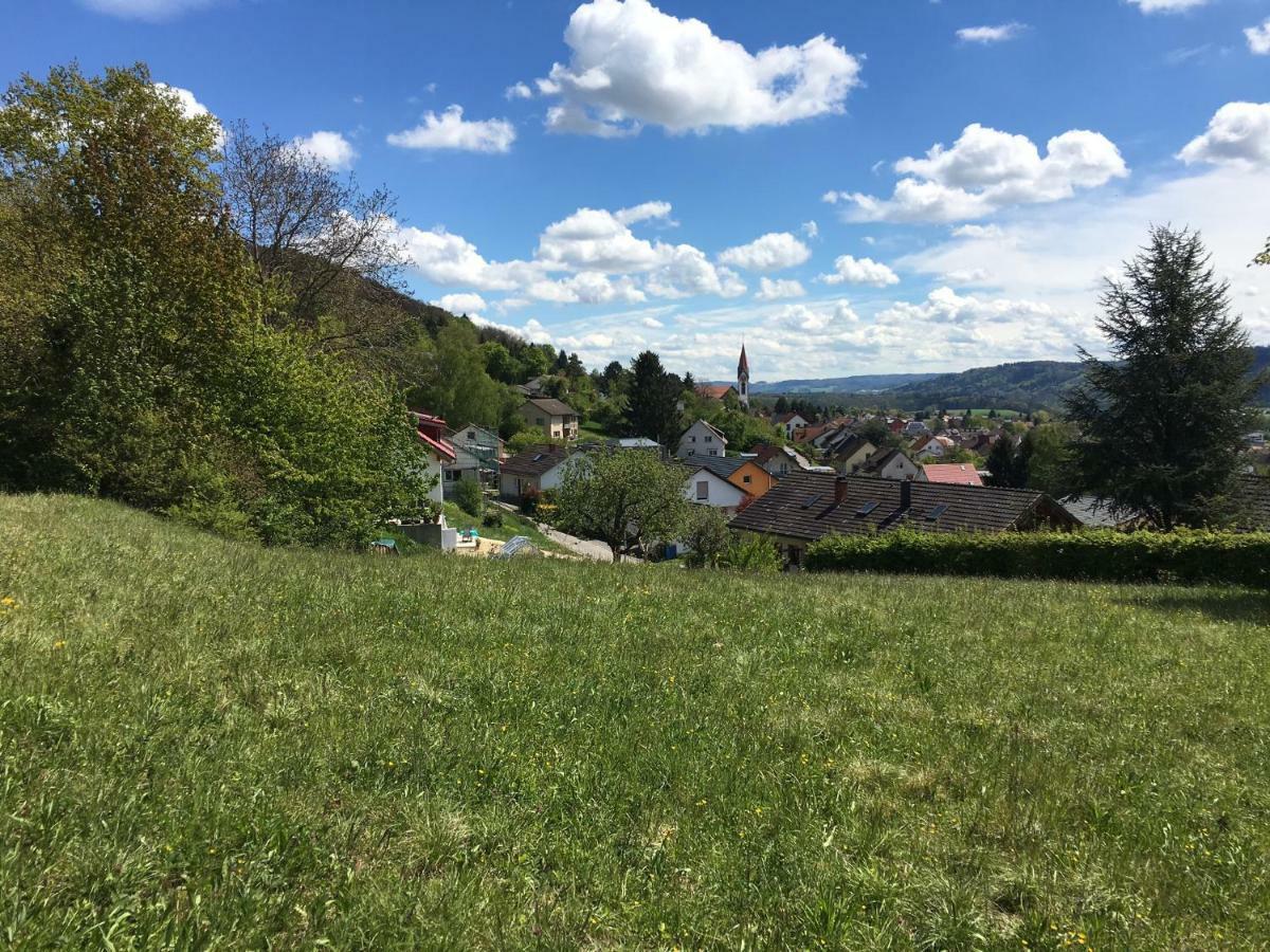 Alpenpanorama Am Hochrhein Villa Gailingen Exterior foto