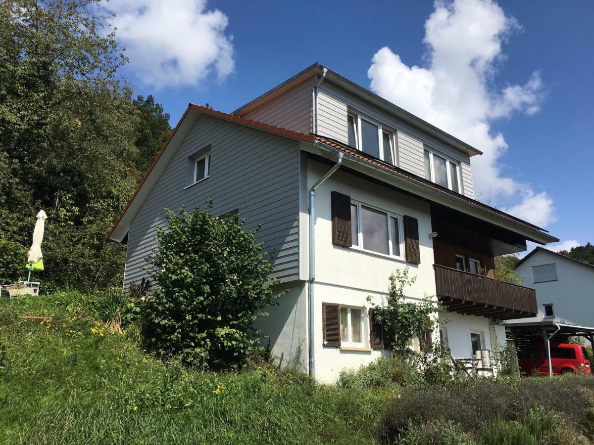 Alpenpanorama Am Hochrhein Villa Gailingen Exterior foto