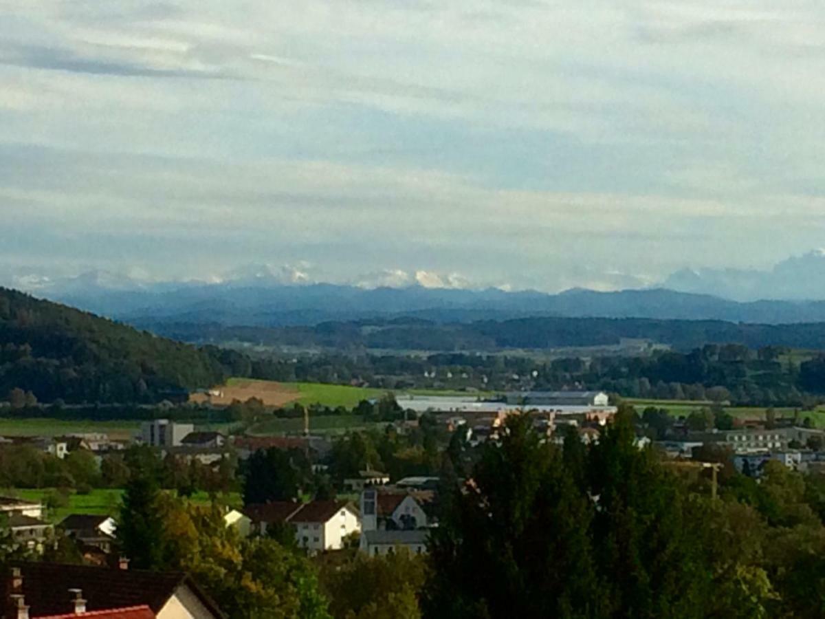 Alpenpanorama Am Hochrhein Villa Gailingen Exterior foto